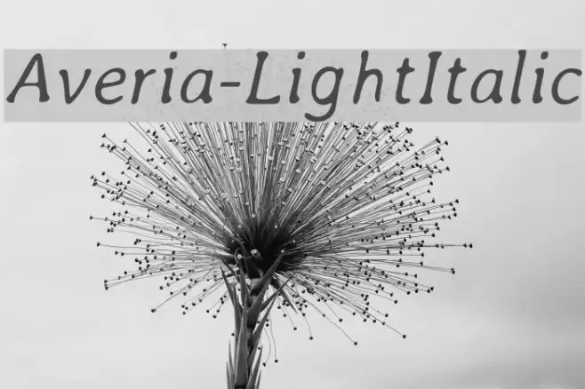 Averia-LightItalic Example 2
