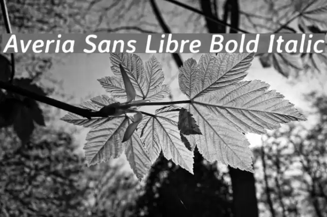 Averia Sans Libre Bold Italic Font examples