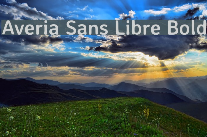 Averia Sans Libre Bold Font examples
