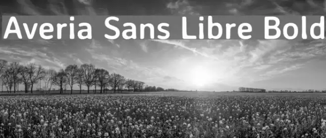 Averia Sans Libre Bold Font examples