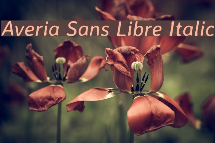 Averia Sans Libre Italic Font examples