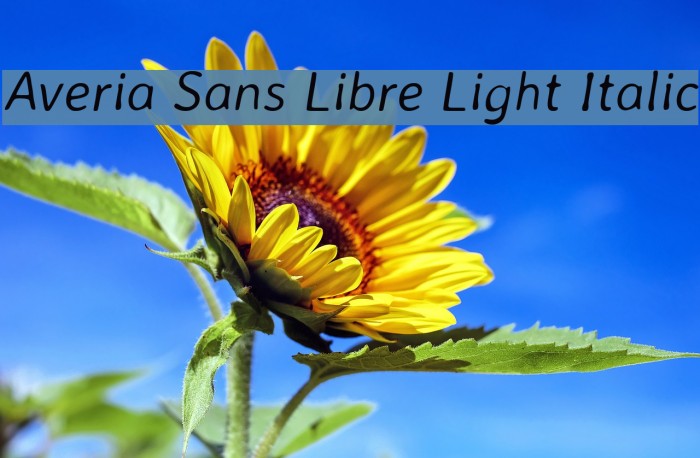Averia Sans Libre Light Italic Font examples