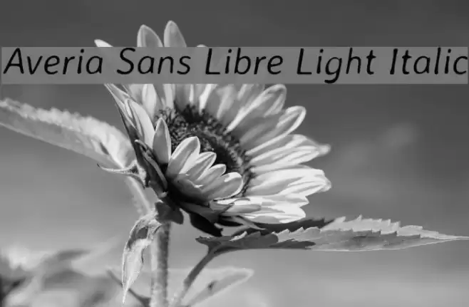 Averia Sans Libre Light Italic Font examples