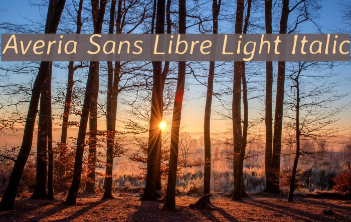 Averia Sans Libre Light Italic Font examples