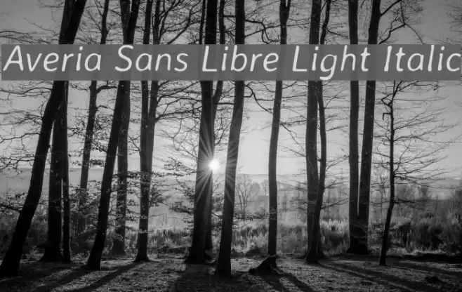 Averia Sans Libre Light Italic Font examples