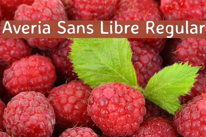 Averia Sans Libre Regular Font examples