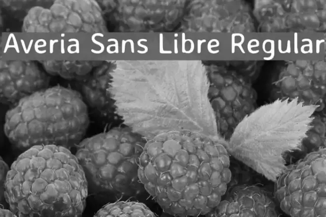 Averia Sans Libre Regular フォント examples