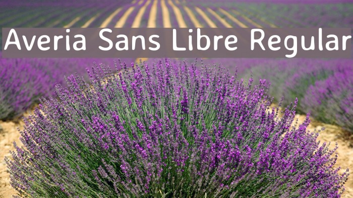 Averia Sans Libre Regular Font examples