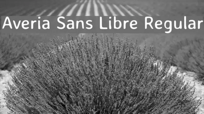 Averia Sans Libre Regular フォント examples