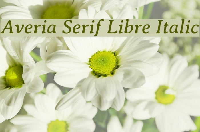 Averia Serif Libre Italic Font examples