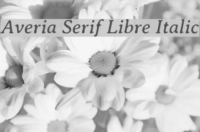 Averia Serif Libre Italic Example 1