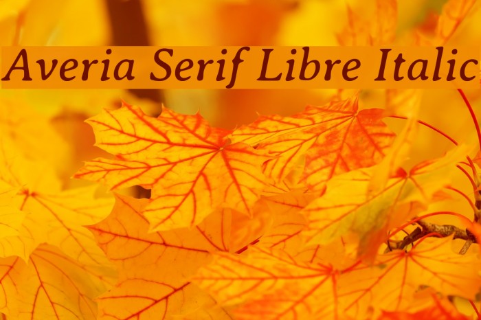 Averia Serif Libre Italic Font examples