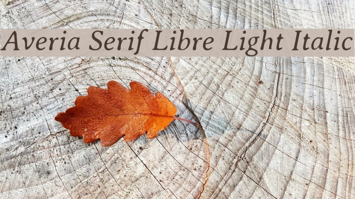Averia Serif Libre Light Italic Font examples