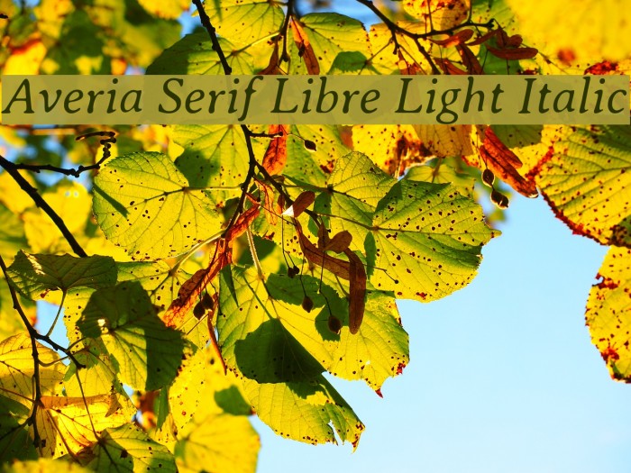 Averia Serif Libre Light Italic Font examples