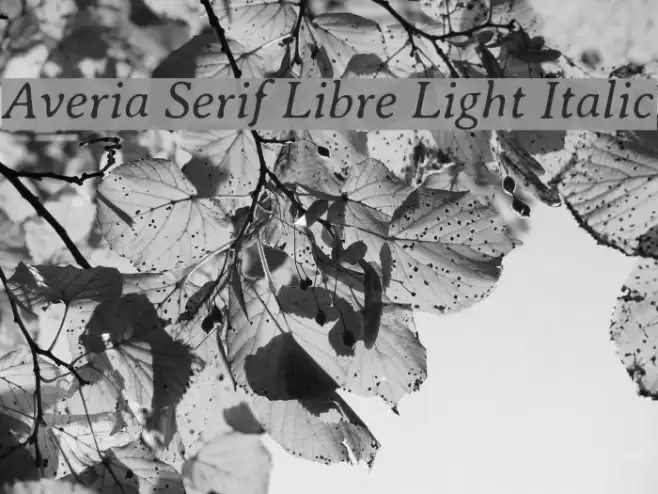 Averia Serif Libre Light Italic Шрифта examples