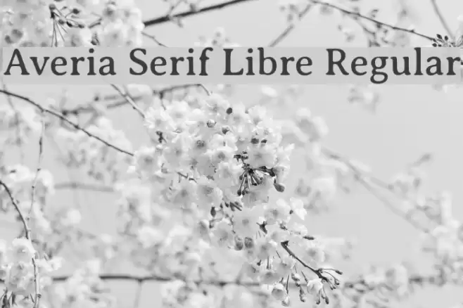 Averia Serif Libre Regular Polices examples