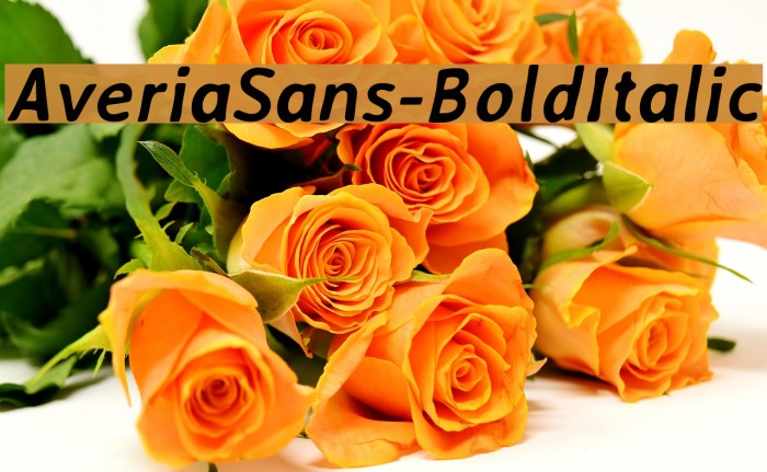 AveriaSans-BoldItalic Font examples