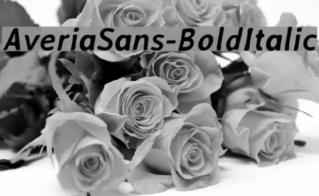 AveriaSans-BoldItalic Font examples