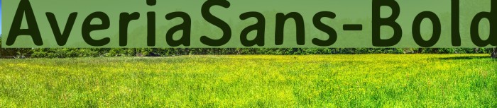 AveriaSans-Bold Font examples