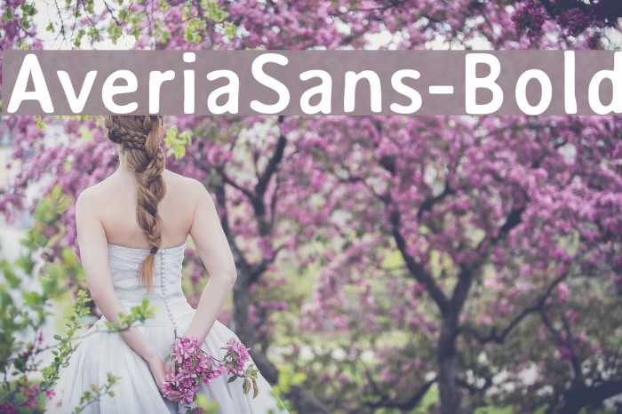 AveriaSans-Bold Font examples