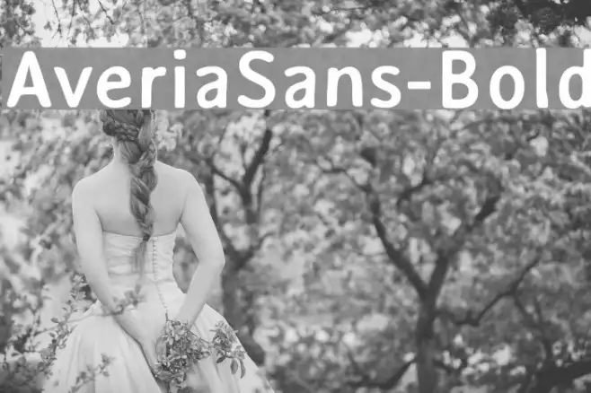 AveriaSans-Bold Example 2