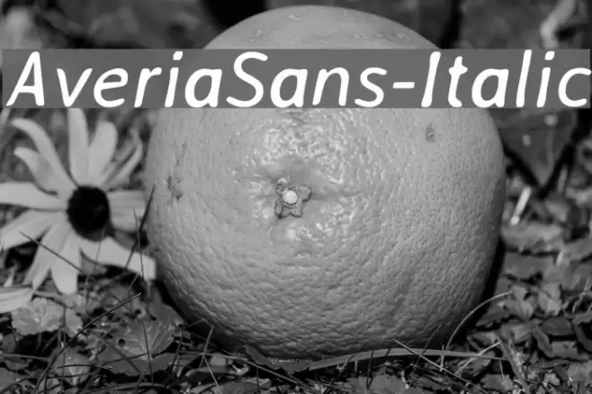 AveriaSans-Italic Font examples