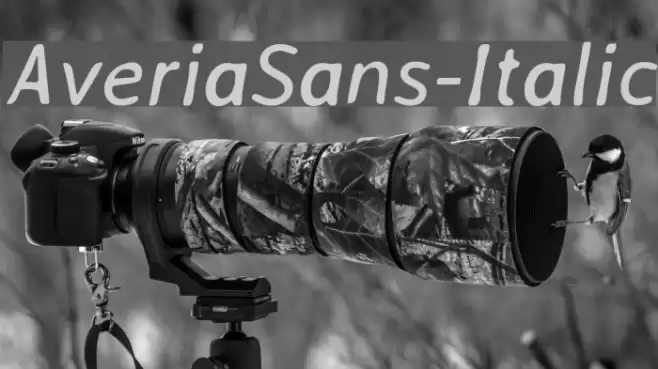 AveriaSans-Italic Font examples