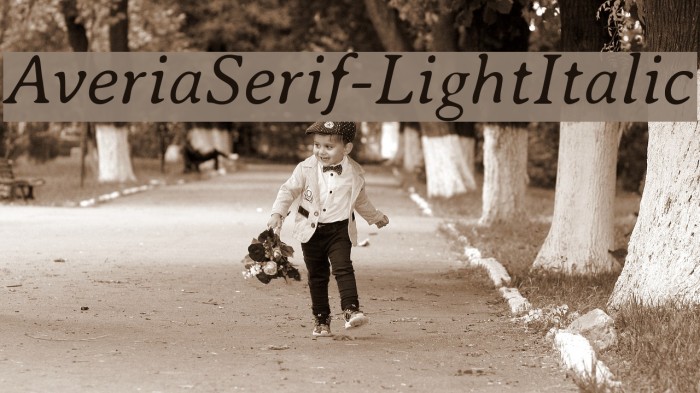 AveriaSerif-LightItalic Font examples