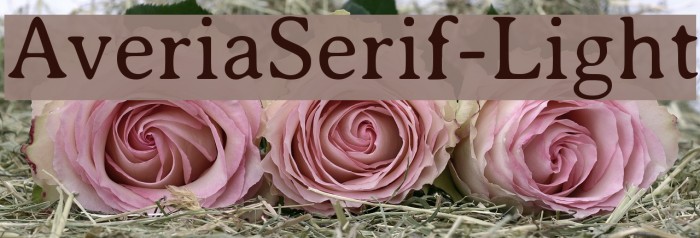 AveriaSerif-Light Font examples
