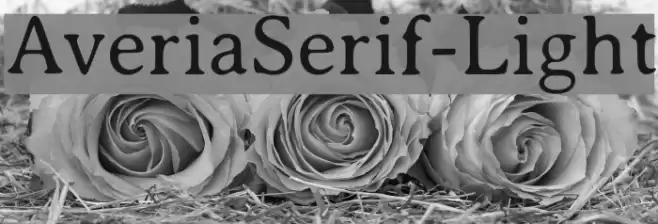 AveriaSerif-Light フォント examples