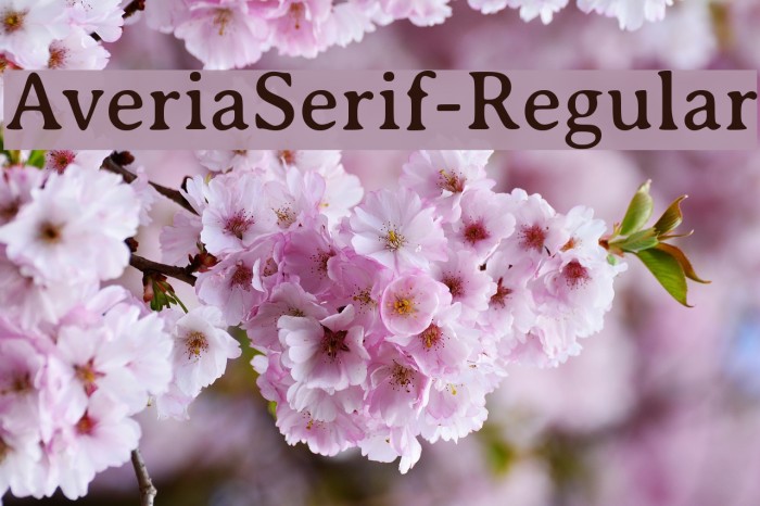 AveriaSerif-Regular Font examples