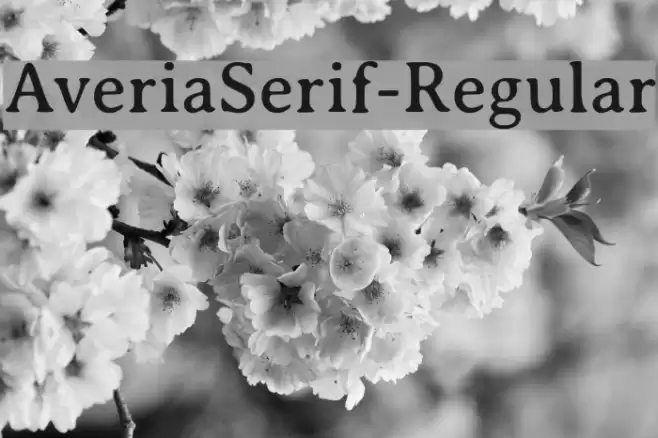 AveriaSerif-Regular  examples