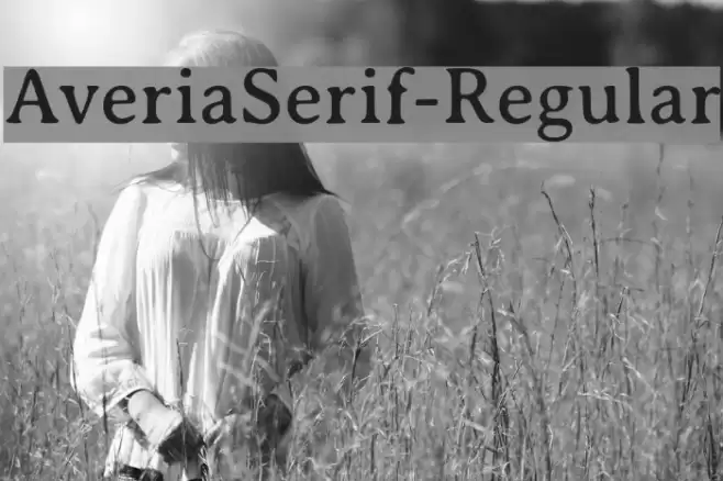 AveriaSerif-Regular  examples
