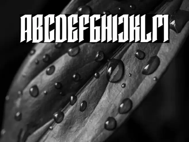 Averoos Font examples