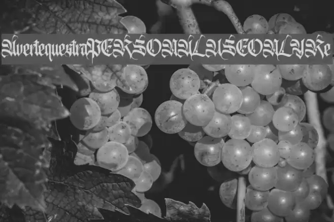 AvertequestraPERSONALUSEONLY-Re Font examples