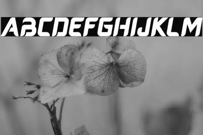 Averus Font examples