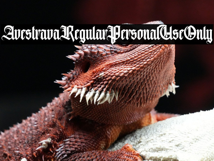 AvestravaRegularPersonalUseOnly Example 2