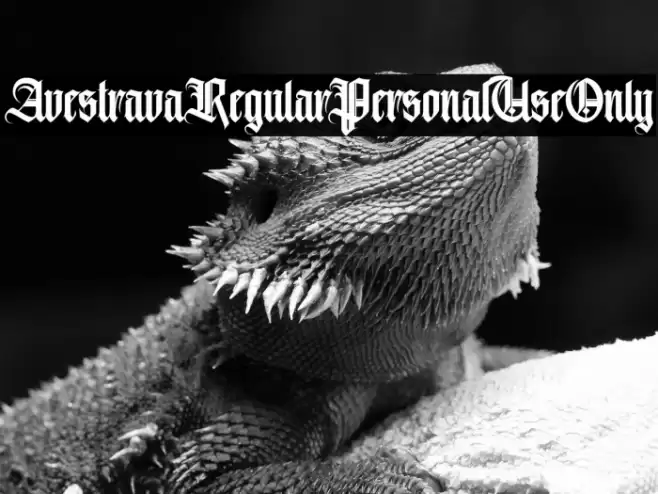 AvestravaRegularPersonalUseOnly Font examples