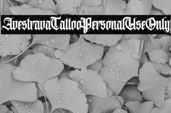 AvestravaTattooPersonalUseOnly Font examples