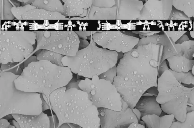 Aveto Regular Font examples