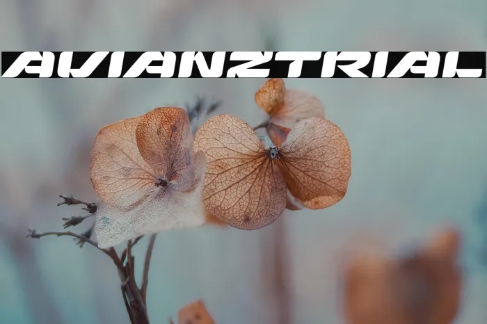 Avianz Trial Example 2