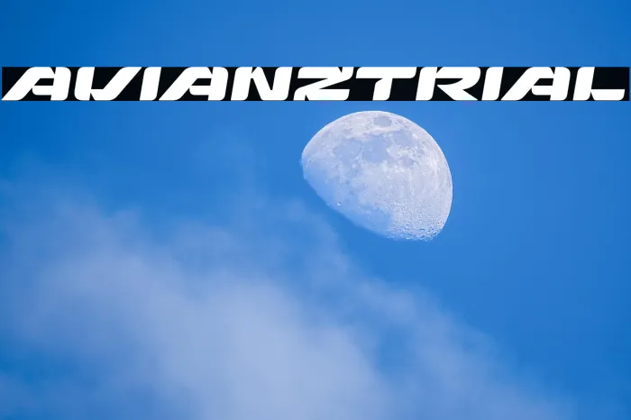 Avianz Trial Example 3