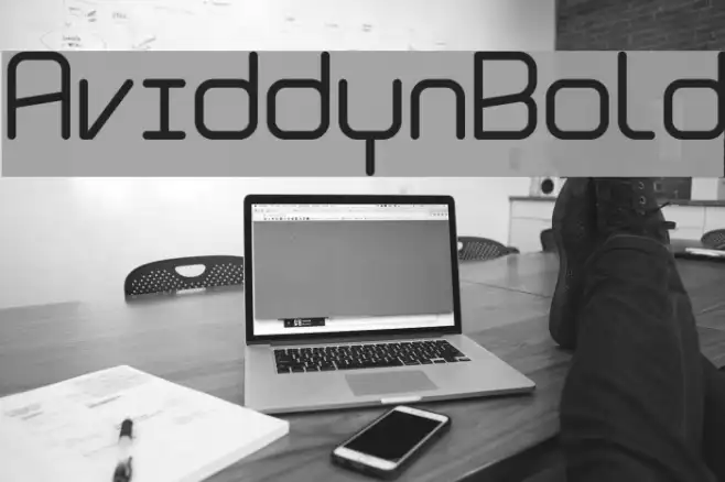 Aviddyn Bold Example 1