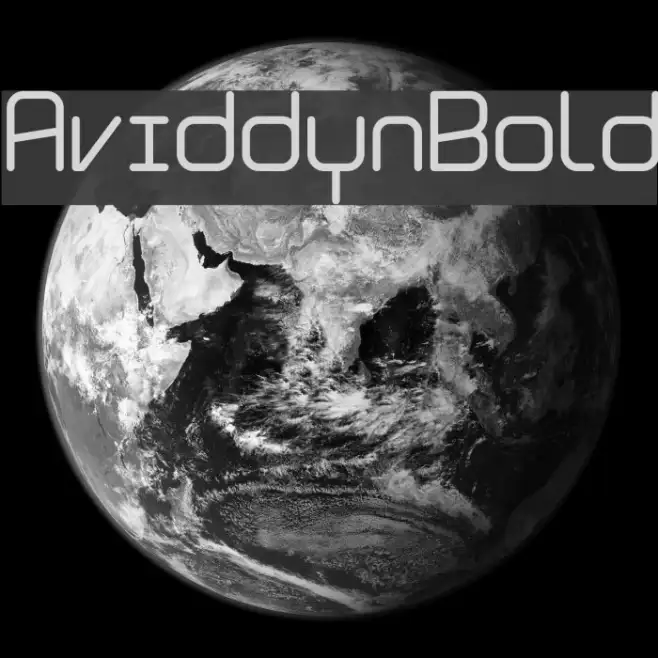 Aviddyn Bold Example 2