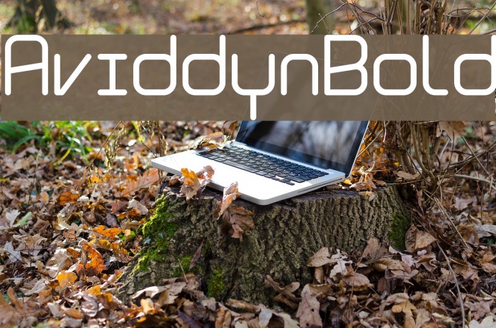 Aviddyn Bold Font examples