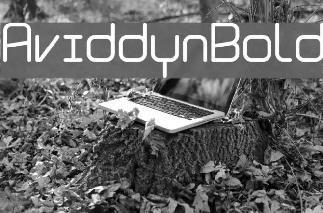 Aviddyn Bold Example 3