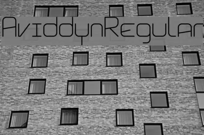 Aviddyn Regular Font examples