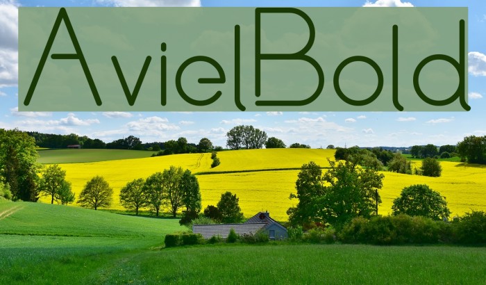 Aviel Bold Example 3
