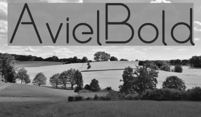 Aviel Bold Font examples