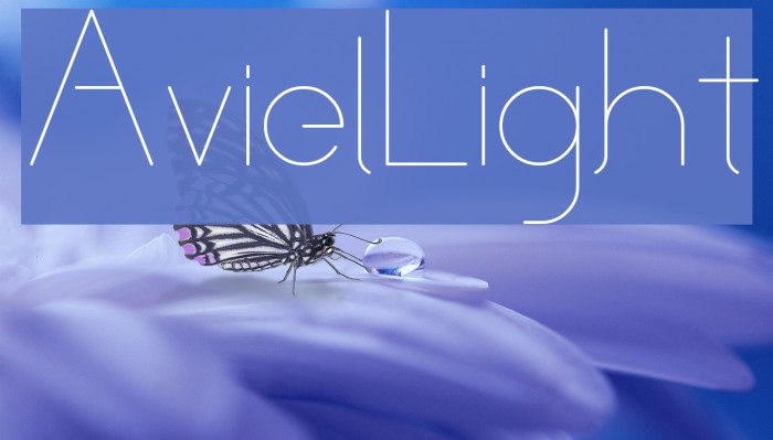 Aviel Light Font examples